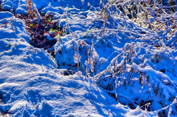 寒い冬の日に雪に覆われた凍結した風景 — ストック写真