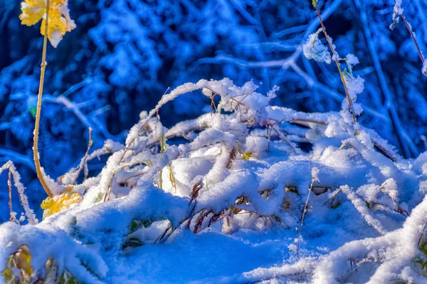 Bevroren Landschap Bedekt Met Sneeuw Tijdens Koude Winterdag — Stockfoto