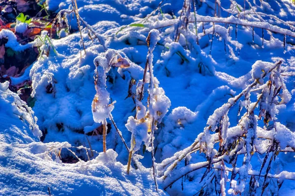 Paisagem Congelada Coberta Neve Durante Frio Dia Inverno — Fotografia de Stock