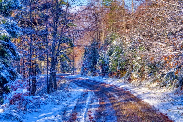 Mrożony Krajobraz Pokryty Śniegiem Chłodny Zimowy Dzień Obrazek Stockowy
