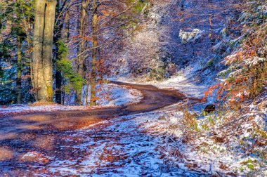 Soğuk kış gününde doğal manzara.
