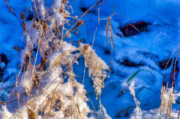 Natürliche Landschaft Kalten Wintertagen — Stockfoto