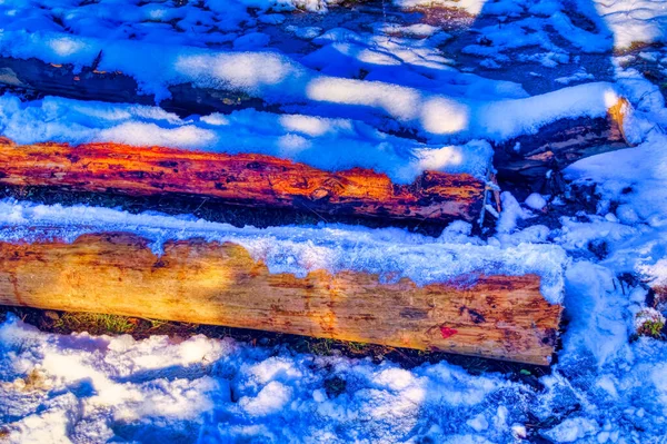 寒い冬の日の自然の風景 — ストック写真