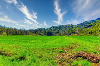 Güneşli baharda kır manzarası.