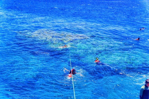 Sharm Sheikh Egito Julho 2021 Excursão Turística Mergulho Durante Cruzeiro — Fotografia de Stock