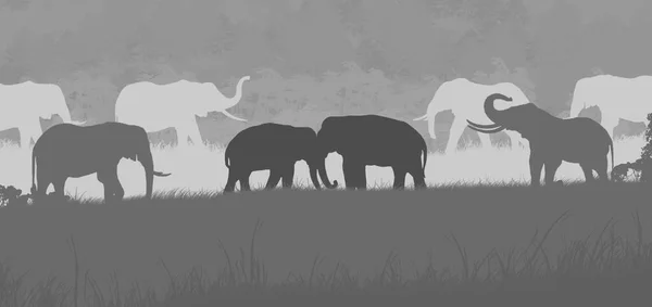 Семья Крупных Животных Слонов Черно Белое Изображение Трафарет — стоковое фото