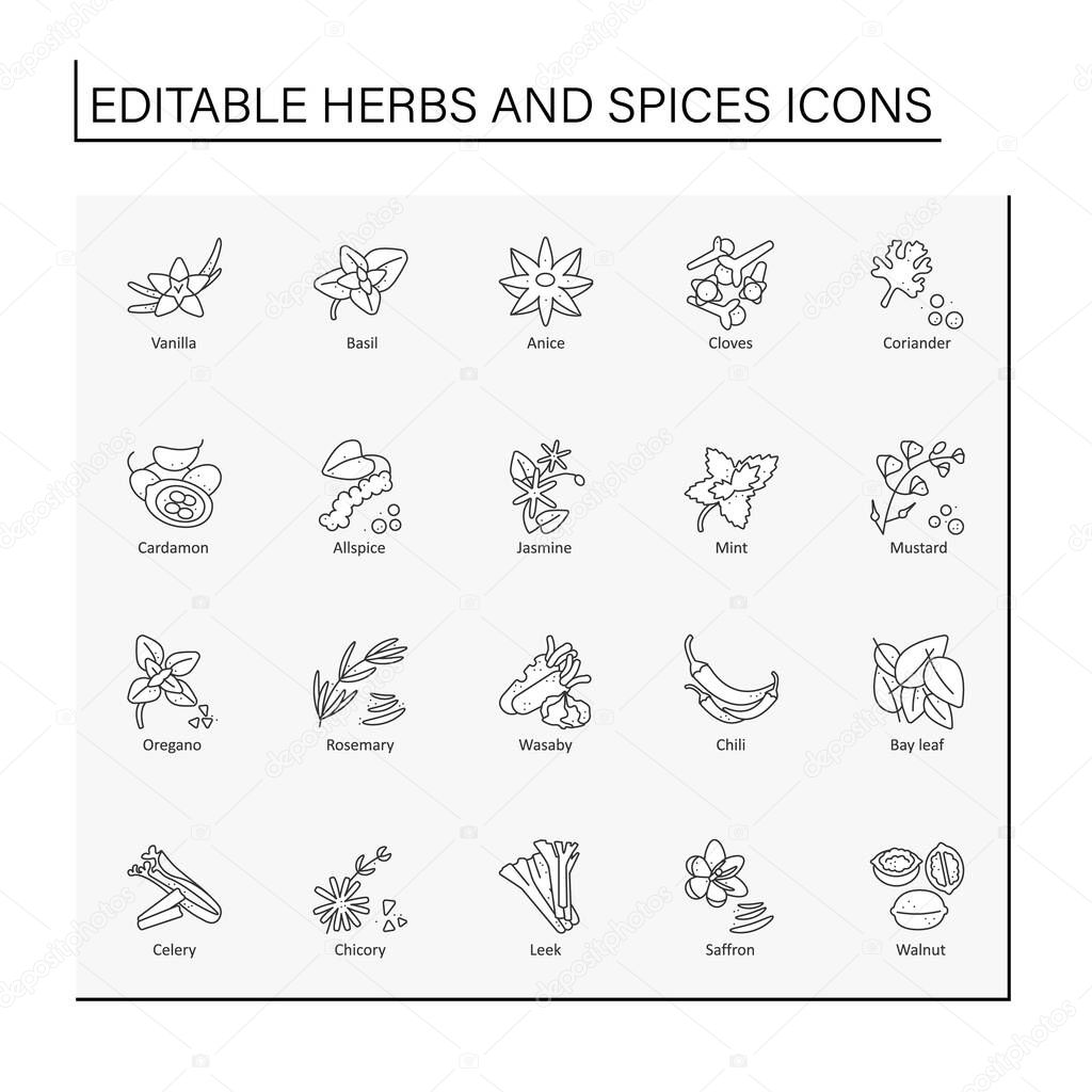 Herbs and spices line icons set. Different types of seasoning. Hot-tasting condiment.Food preparation concept. Isolated vector illustrations. Editable stroke