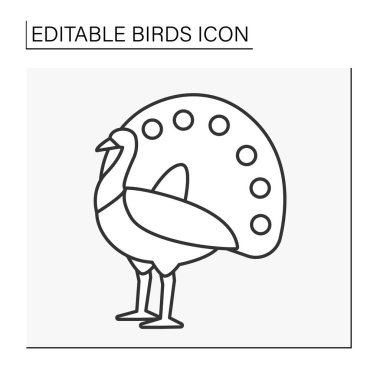 Tavus kuşu çizgi simgesi