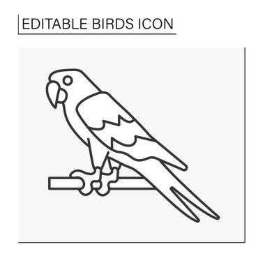  Macaw çizgi simgesi