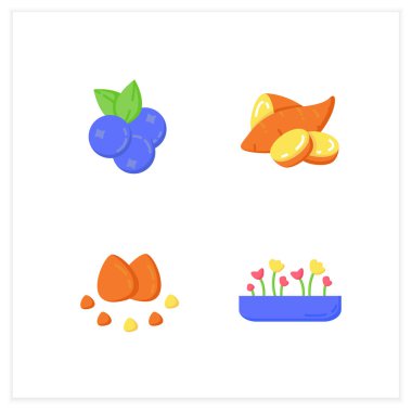 Superfood düz simgeleri