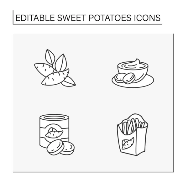 Süßkartoffellinie Symbole Gesetzt Verschiedene Arten Von Kartoffeln Vegetarische Nahrungsmittelkonzepte Vereinzelte — Stockvektor