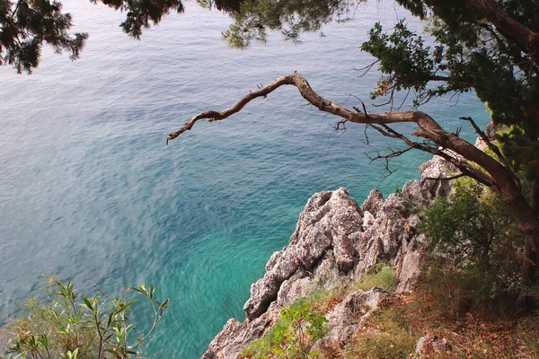 Turkoois Helder Water Van Adriatische Zee Rotskusten Milocer Park Montenegro — Stockfoto
