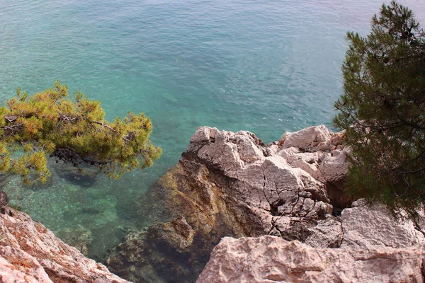 Águas Cristalinas Turquesa Mar Adriático Marinhas Rochosas Milocer Park Montenegro — Fotografia de Stock