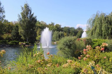 Güzel bir manzara parkında fıskiyeleri olan yapay göl. Yeşillik. Sıcak, güneşli bir gün. Yaz