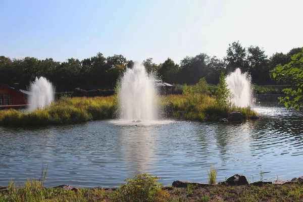 Artificial lake with fountains in a beautiful landscape park. Lush greenery. Hot sunny day. Summer