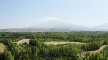 Aerial view of Igdir Irem Vineyards. 4K Footage in Turkey