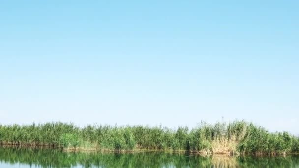 View Karasu Marshes Igdir Footage Turkey — Vídeo de Stock