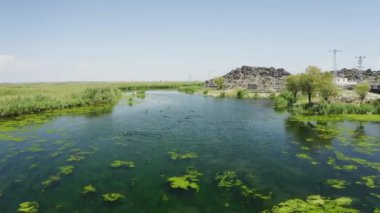 Aerial view of Karasu Marshes in Igdir. 4K footage in Turkey