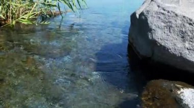 View of Karasu Marshes in Igdir. 4K footage in Turkey
