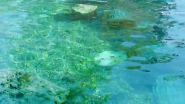 Cleopatras Antiek Zwembad Denizli Beelden Turkije — Stockvideo