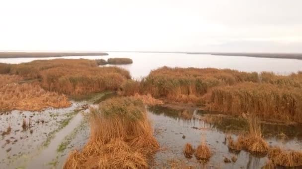 Letecký Pohled Jezero Eber Afyonkarahisar Záběry Turecku — Stock video