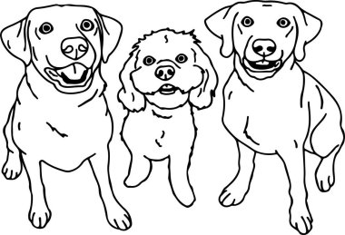  Sketch style illustration of cute dogs, Pets Love Concept clipart