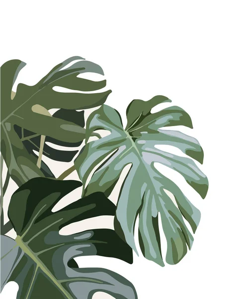 Illustratie Van Tropische Bladeren Witte Achtergrond — Stockvector