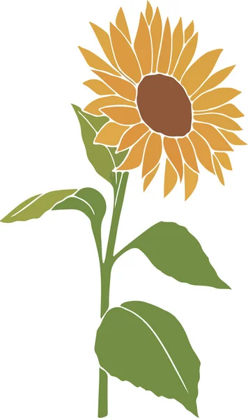 Illustration Der Sonnenblume Auf Weißem Hintergrund — Stockvektor