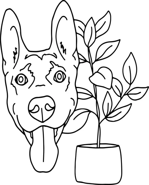 Dibujo Estilo Ilustración Lindo Perro Pastor Con Planta Mascotas Love — Vector de stock