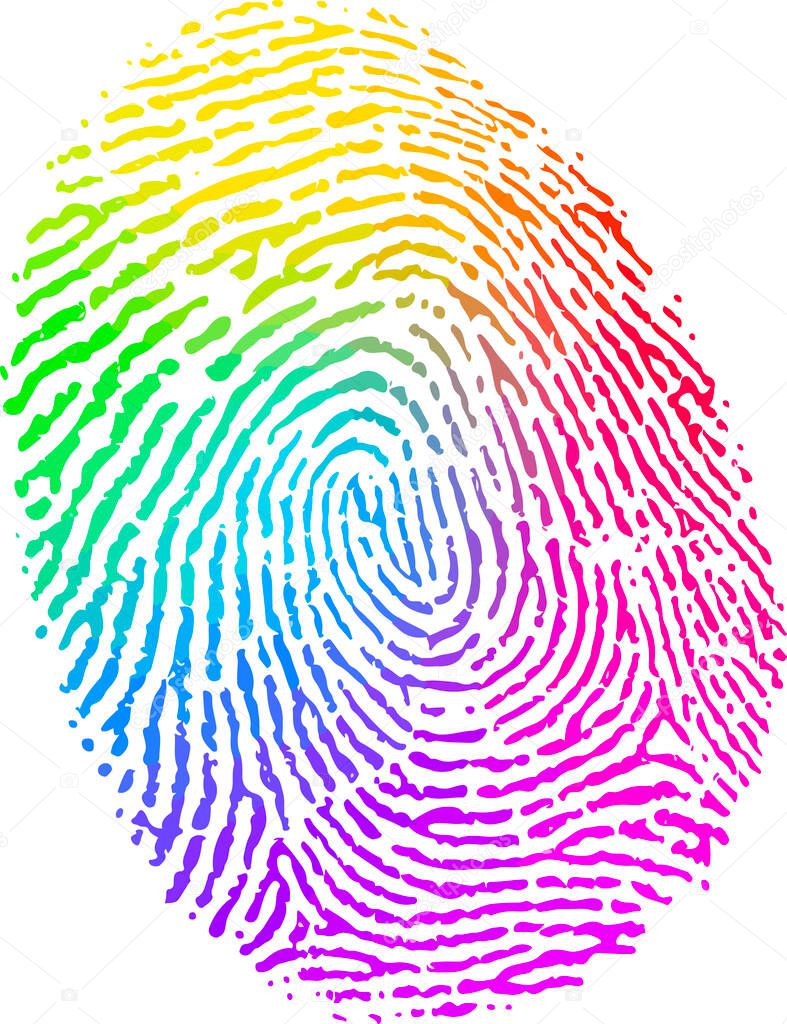   Rainbow color fingerprints on white background, Concept means the LGBT community helping with definitions of sexual orientation and gender identity