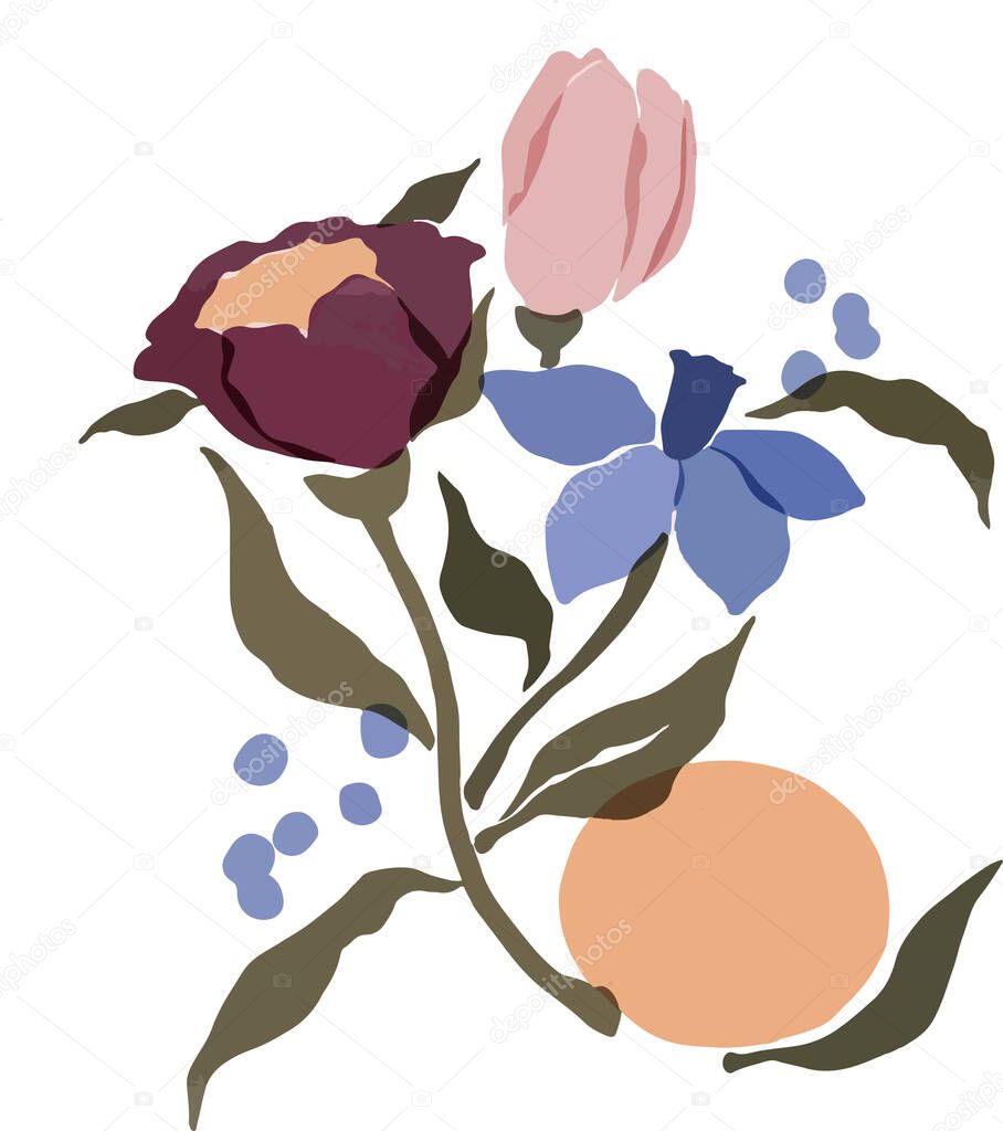  botanical illustration of beautiful flowers