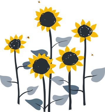 Beyaz arka planda sevimli ayçiçeklerinin el çizimi