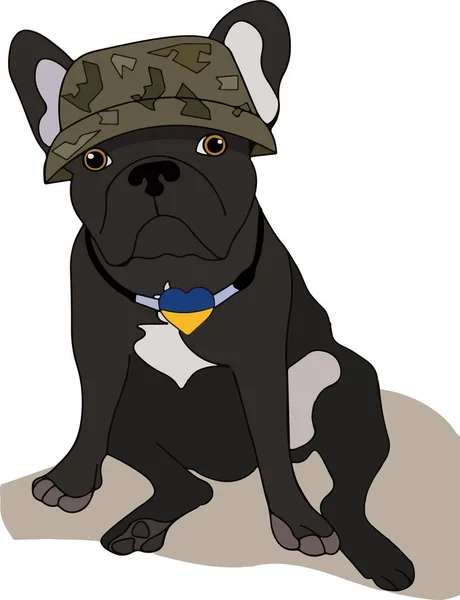 Cute French Bulldog Military Helmet Symbols Ukraine Isolated White Background — 스톡 벡터