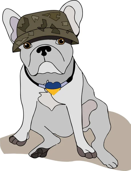Cute French Bulldog Military Helmet Symbols Ukraine Isolated White Background — 스톡 벡터