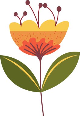 Çiçeklerle, çayır çiçekleriyle, kır çiçekleriyle ve şifalı bitkilerle dolu güzel bir çiçeğin resmi. 