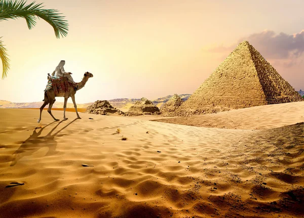 Nômade Camelo Perto Pirâmides Deserto Egípcio — Fotografia de Stock