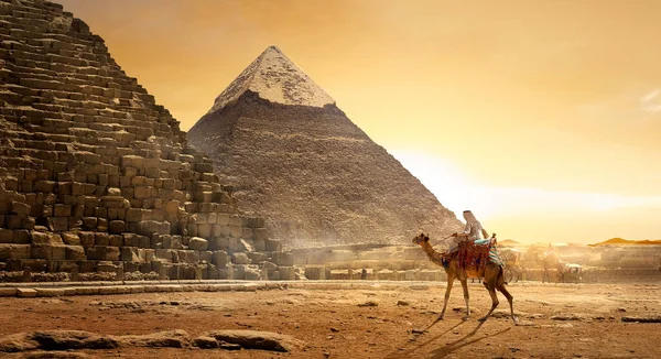 埃及沙漠金字塔附近的骆驼游牧民族 — 图库照片#