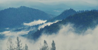 Mountain landscape with fog. Gloomy, rainy autumn in the Carpathian mountains