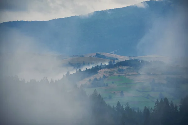 Mountain Landscape Fog Gloomy Rainy Autumn Carpathian Mountains — Fotografia de Stock