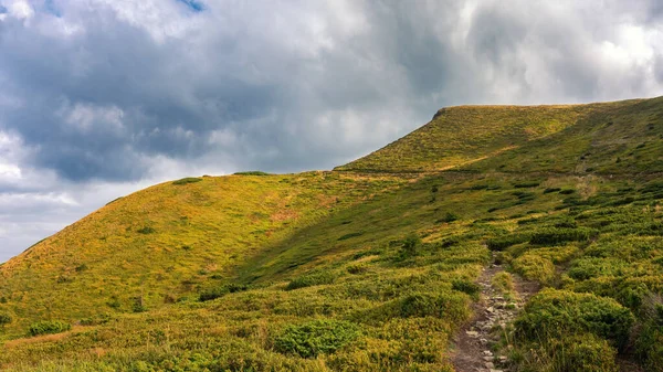 Evening in the mountains. Serene autumn landscape with mountain top and cloudy sky. Mountain grasses have already begun to turn yellow, autumn has begun