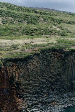 İzlanda, Studlagil Kanyonu 'ndan geçen Yeşil Nehir. Yüksek kalite fotoğraf