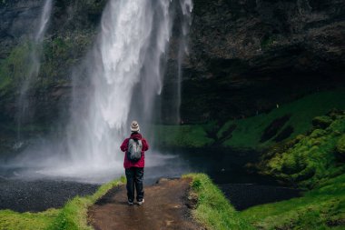 Seljalandsfoss, İzlanda 'nın güneyinde güzel ve turistik bir şelale. Yüksek kalite fotoğraf