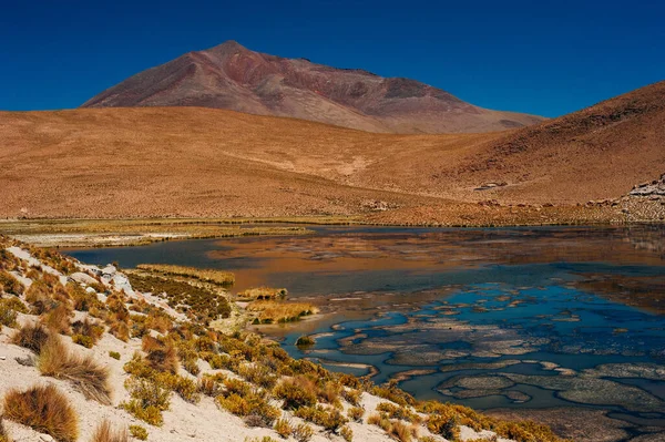Beautiful Landscape Reserva Nacional Los Flamencos — Stock Photo, Image