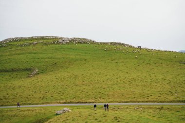 Yalnız seyyah, Camino de Santiago 'da Pireneler' in içinden geçiyor. Fransa - Kasım, 2021. Yüksek kalite fotoğraf