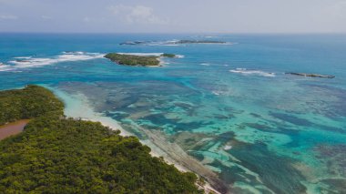 İzole edilmiş Cayo Icacos Porto Riko adasındaki bir sahilin insansız hava aracı görüntüsü. Yüksek kalite fotoğraf