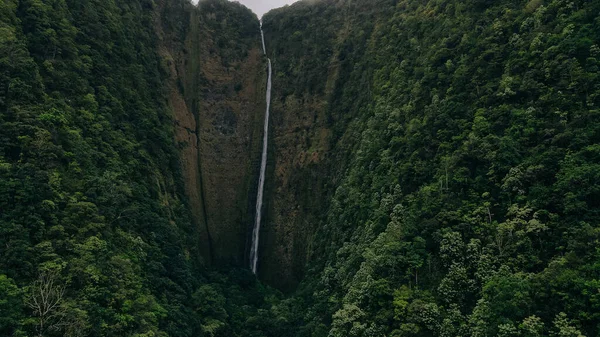 Cascata Ilawe Alta 1450 Piedi Nella Valle Waipio Big Island — Foto Stock