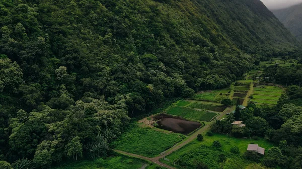 Veduta Aerea Della Valle Waipio Sulla Grande Isola Delle Hawaii — Foto Stock