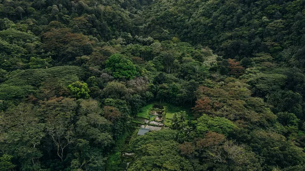 Hawaii 'nin Büyük Adası' ndaki Waipio Vadisi 'nin sisle ve bulutlarla örtülü güzel şelaleleri..