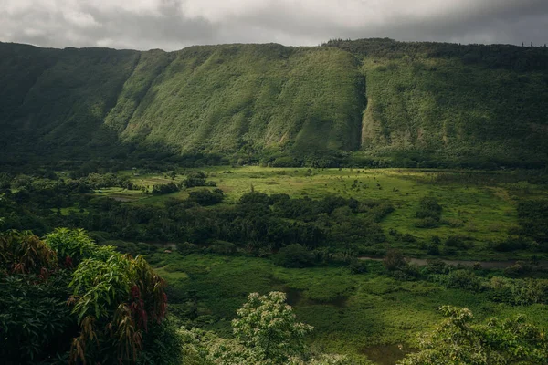 Vista Sulla Valle Waipio Big Island Hawaii — Foto Stock