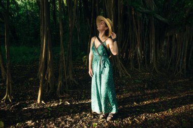 Gün batımında ormanda şapkalı güzel bir kız. Yüksek kalite fotoğraf